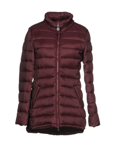 Shop Invicta Down Jackets In Maroon