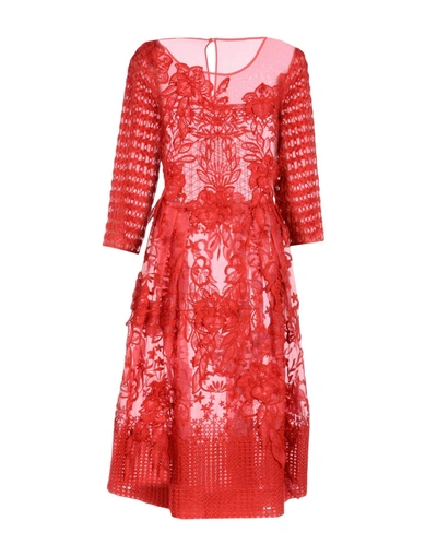 Shop Alberta Ferretti In Red