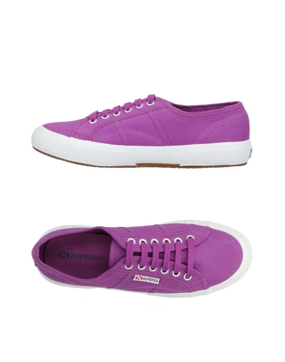 Shop Superga Sneakers In Mauve