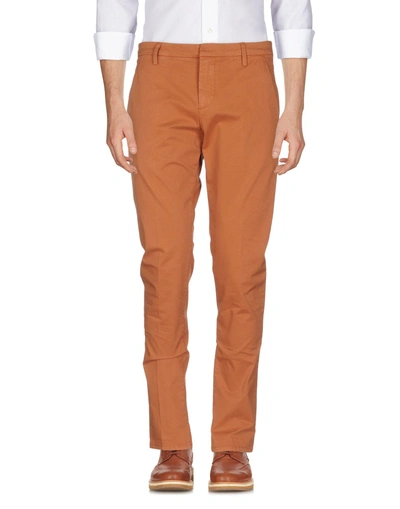 Shop Dondup Pants In Brown