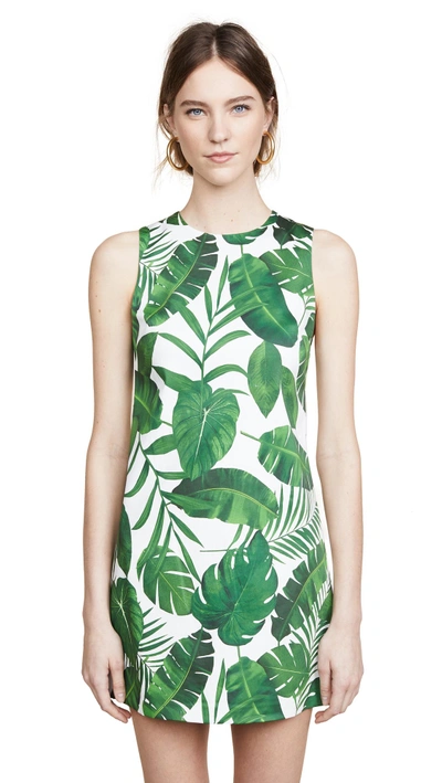 Shop Alice And Olivia Coley Crew Neck A-line Dress In Tropical Leaves