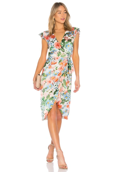Shop Alice And Olivia Garnet Dress In Floral Fields