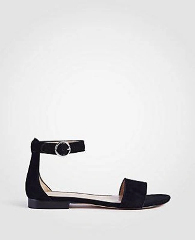 Shop Ann Taylor Aislyn Suede Flat Sandals In Black