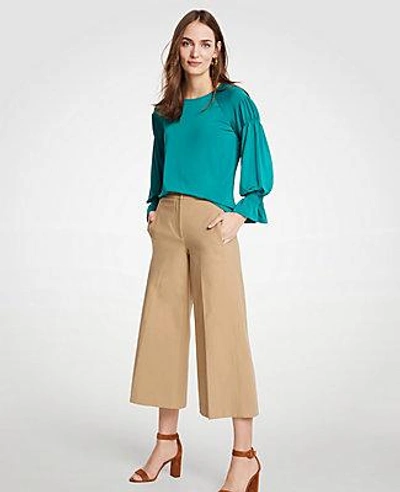 Shop Ann Taylor Pintucked Sleeve Top In Cool Pine