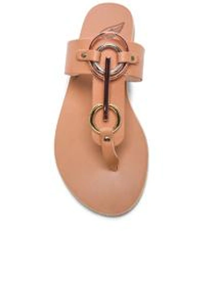 Shop Ancient Greek Sandals Evia Sandal In Nude