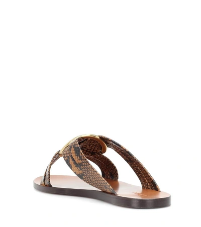 Shop Chloé Rony Leather Sandals In Brown