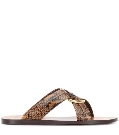 Shop Chloé Rony Leather Sandals In Brown
