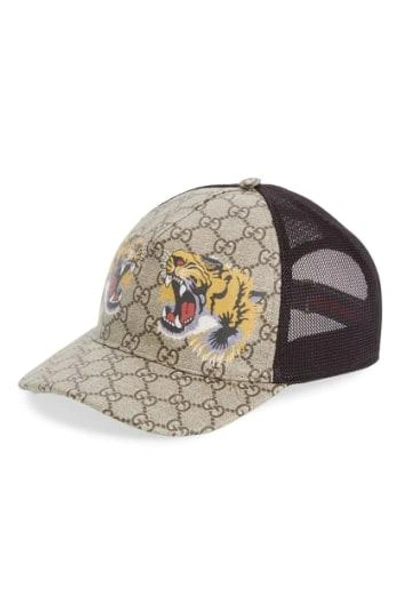 Shop Gucci Tiger Logo Print Baseball Cap - Brown In Dark Brown/ Black
