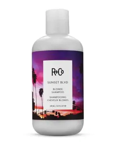 Shop R + Co Sunset Blvd Blonde Shampoo