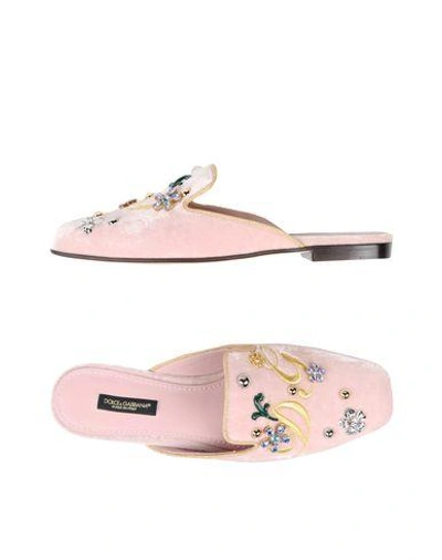 Shop Dolce & Gabbana Mules & Clogs In Pink