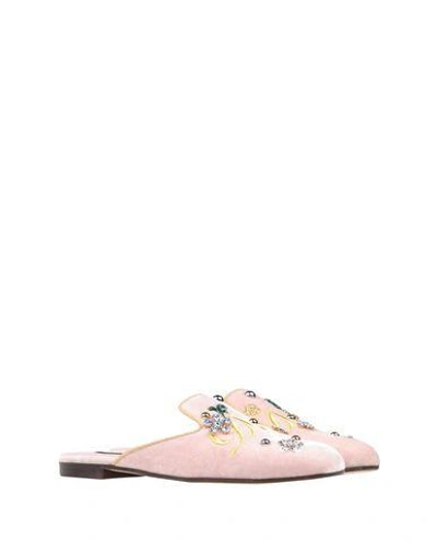 Shop Dolce & Gabbana Mules & Clogs In Pink