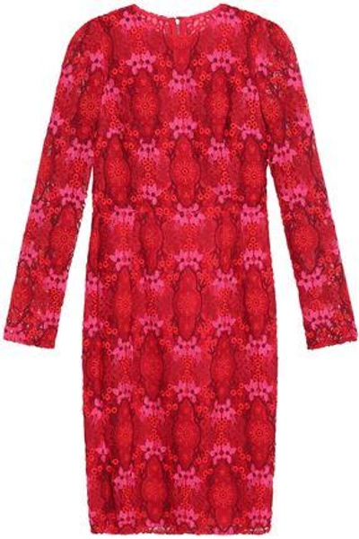 Shop Dolce & Gabbana Woman Cotton-blend Guipure Lace Dress Red