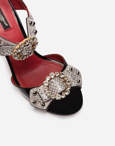 Shop Dolce & Gabbana Sandal In Ayers Snakeskin And Patent Leather With Appliqués And Jewel Heel In Black