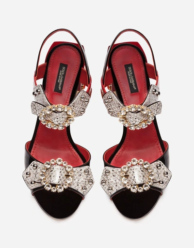 Shop Dolce & Gabbana Sandal In Ayers Snakeskin And Patent Leather With Appliqués And Jewel Heel In Black