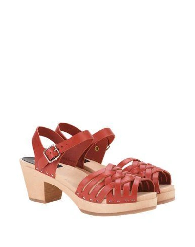 Shop Swedish Hasbeens Sandals In Red