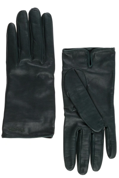 Shop Prada Women's Leather Gloves In Green