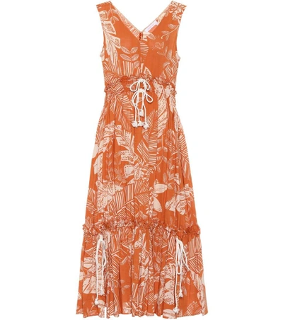 Shop See By Chloé Sleeveless Printed Cotton Dress In Brown