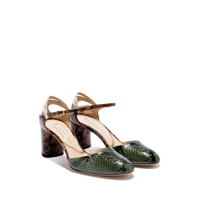 Shop Casadei Daytime In Kombu Green, Cuoio And Stone