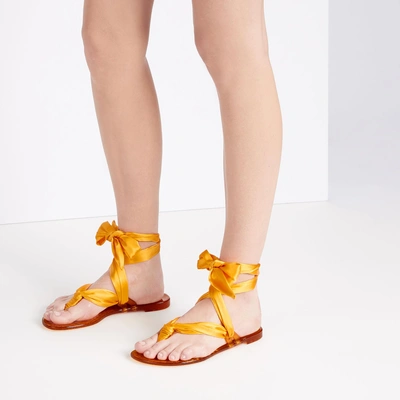 Shop Casadei Jelly In Orange Crodino