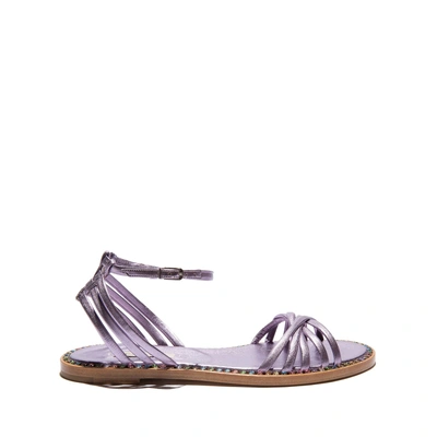 Shop Casadei Daytime In Solid Lilac