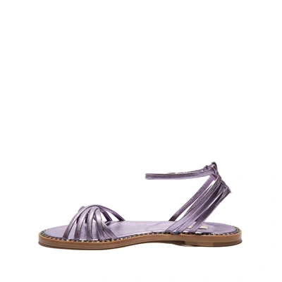 Shop Casadei Daytime In Solid Lilac
