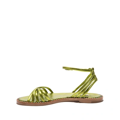 Shop Casadei Daytime In Spirulina