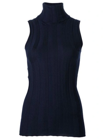 Shop Derek Lam Elle Ribbed Sleeveless Turtleneck In Blue