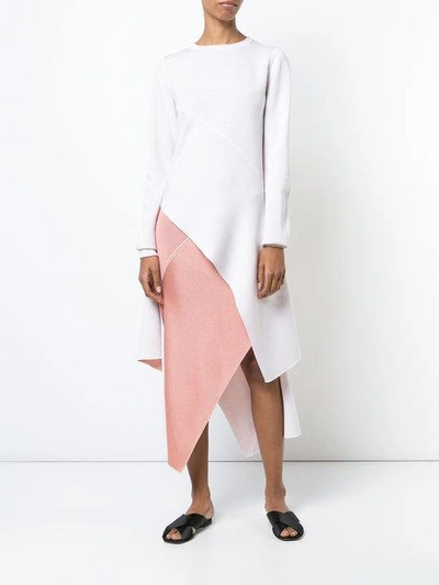 Shop Rosetta Getty Asymmetric Pinwheel Skirt In Pink