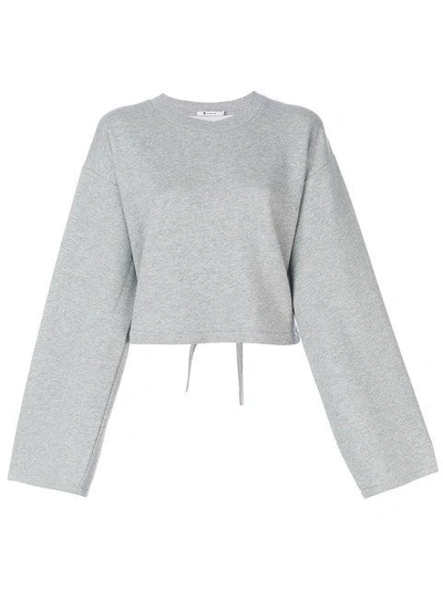 Shop Alexander Wang T T By Alexander Wang Cropped Sweat Top - Grey