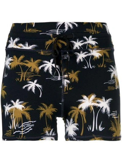 Shop The Upside Palm Tree Printed Shorts - Blue