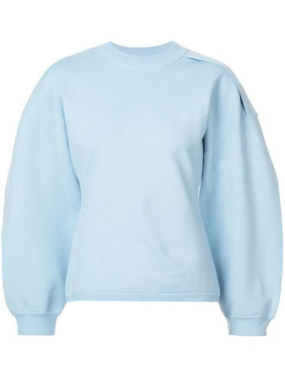Shop Tibi Long Sleeved Knitted Top In Blue