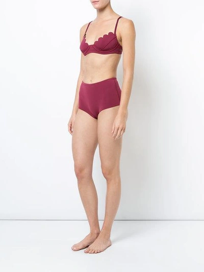 Shop Cynthia Rowley Betty Scallop Bikini Top - Red