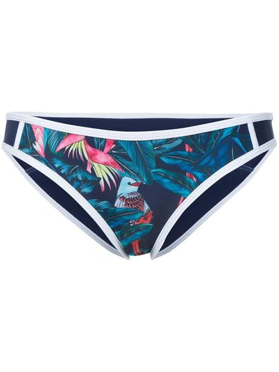 Shop Duskii Tropical Print Bikini Bottom In Multicolour