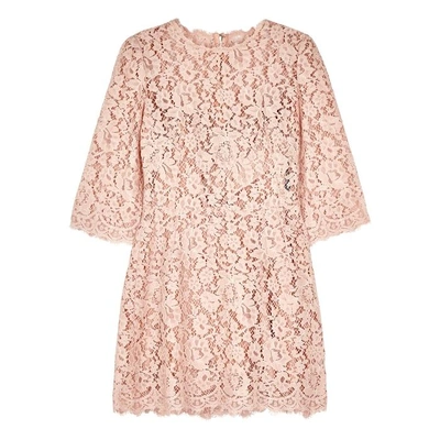 Shop Dolce & Gabbana Blush Lace Dress