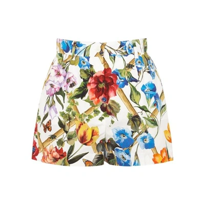 Shop Dolce & Gabbana Floral-print Cotton Shorts In White