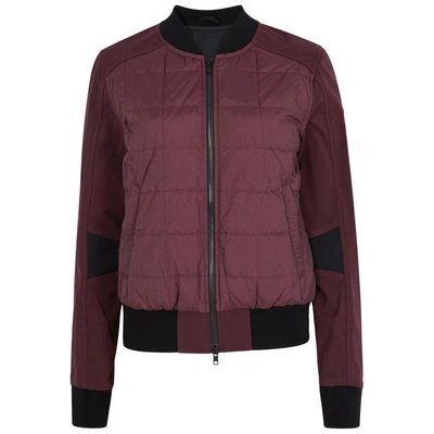Shop Canada Goose Hanley Quilted Shell Bomber Jacket In Bordeaux