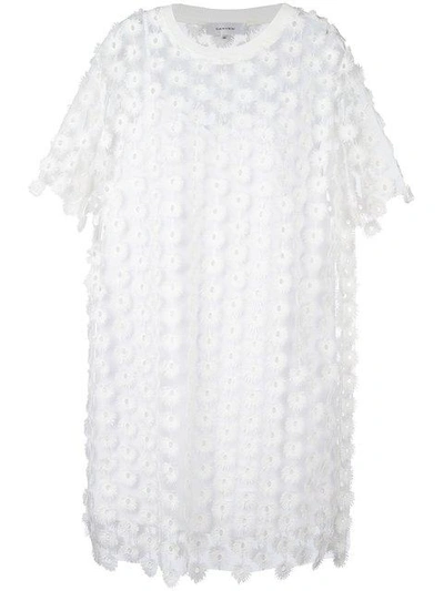 Shop Carven Lace T-shirt Dress