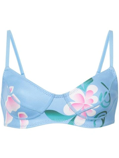 Shop Cynthia Rowley Fiji Floral Bikini Top - Blue
