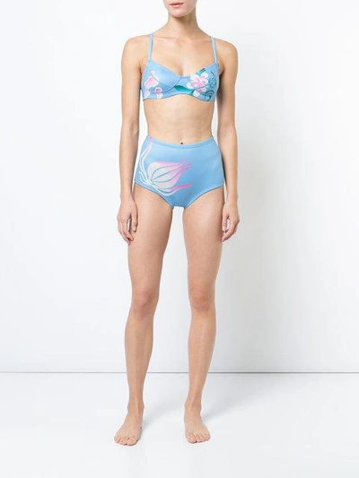 Shop Cynthia Rowley Fiji Floral Bikini Top - Blue
