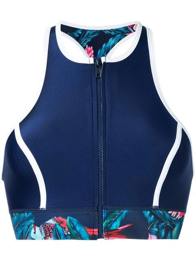 Shop Duskii Tropical Print Bikini Top In Blue