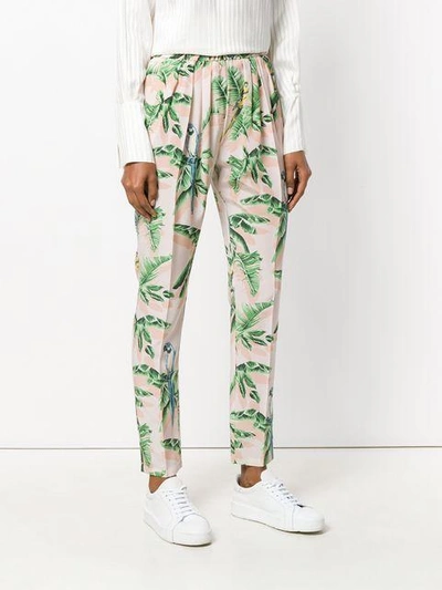 Paradise printed trousers