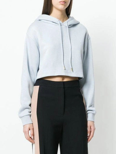 Shop Diane Von Furstenberg Cropped Boxy Hoodie