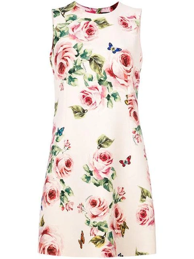 Shop Dolce & Gabbana Rose Print Shift Dress In Neutrals