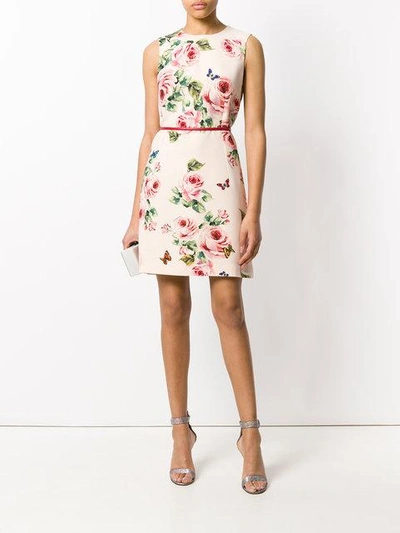 Shop Dolce & Gabbana Rose Print Shift Dress In Neutrals
