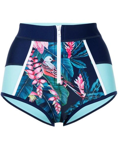Shop Duskii Tropical Print Bikini Bottoms In Blue