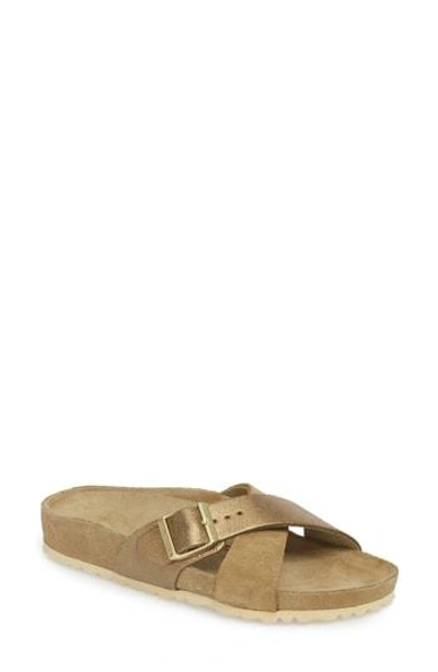 Shop Birkenstock Siena Exquisite Slide Sandal In Khaki Suede