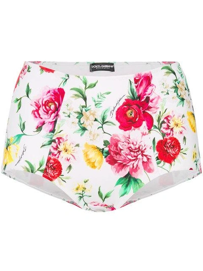 Shop Dolce & Gabbana High Waisted Floral Briefs In White