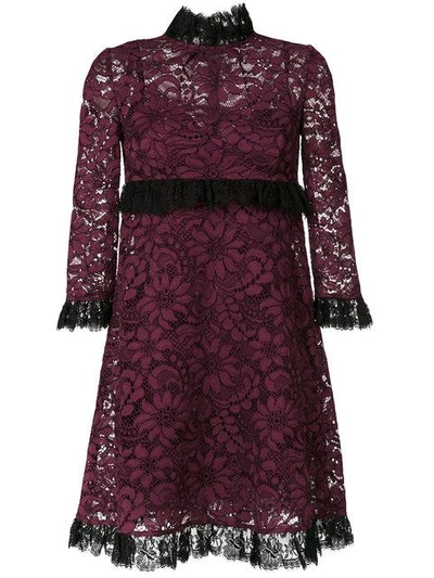 Shop Dolce & Gabbana Frill Lace Dress - Pink In Pink & Purple