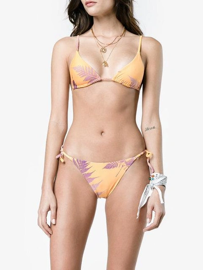 Shop Double Rainbouu Gold Class Triangle Bikini With Palm Print In Yellow
