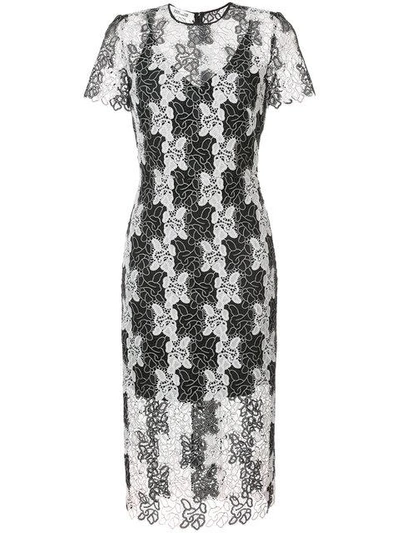 Shop Diane Von Furstenberg Dvf  Short-sleeve Tailored Lace Dress - Black